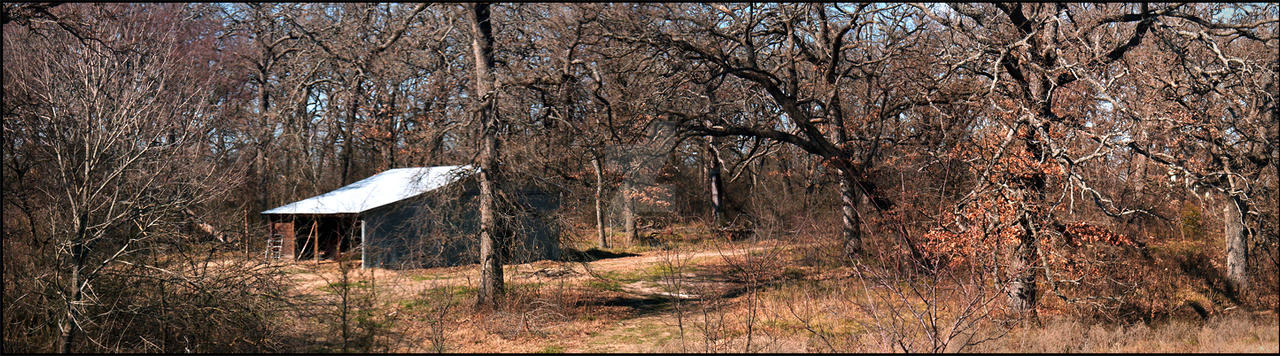 View from my back porch 2006